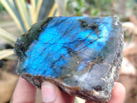 Polished On One Side Labradorite x 6 From Tulear, Madagascar