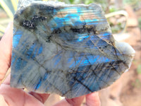 Polished On One Side Labradorite x 6 From Tulear, Madagascar