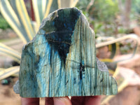 Polished On One Side Labradorite x 6 From Tulear, Madagascar