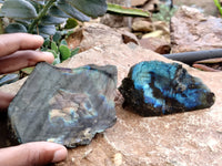 Polished On One Side Labradorite x 6 From Tulear, Madagascar