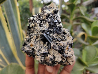 Natural Schorl Black Tourmaline Specimens x 3 From Erongo, Namibia