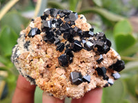 Natural Schorl Black Tourmaline Specimens x 3 From Erongo, Namibia