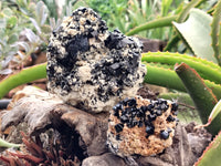 Natural Schorl Black Tourmaline Specimens x 3 From Erongo, Namibia