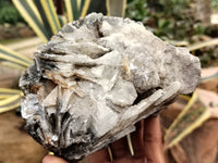 Natural Bladed Barite Specimens x 2 From Congo