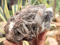 Natural Bladed Barite Specimens x 2 From Congo