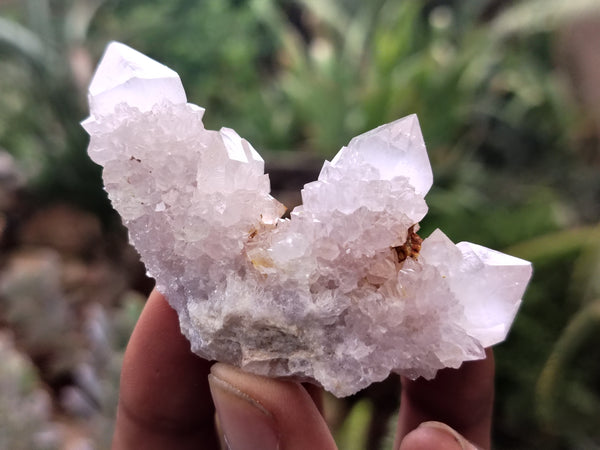 Natural Amethyst Spirit Quartz Clusters x 20 From Boekenhouthoek, South Africa