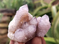 Natural Amethyst Spirit Quartz Clusters x 20 From Boekenhouthoek, South Africa