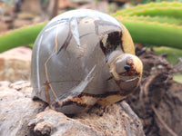 Hand Made Septerye Tortoise Carvings x 4 From Madagascar