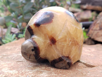 Hand Made Septerye Tortoise Carvings x 4 From Madagascar