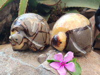 Hand Made Septerye Tortoise Carvings x 4 From Madagascar