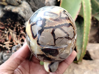 Hand Made Septerye Tortoise Carvings x 4 From Madagascar