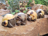 Hand Made Septerye Tortoise Carvings x 4 From Madagascar