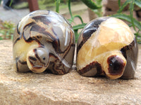 Hand Made Septerye Tortoise Carvings x 4 From Madagascar