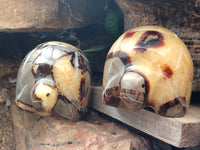 Hand Made Septerye Tortoise Carvings x 4 From Madagascar