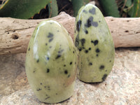 Polished Leopard Stone Standing Free Forms x 4 From Nyanga, Zimbabwe