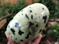 Polished Leopard Stone Standing Free Forms x 4 From Nyanga, Zimbabwe