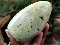 Polished Leopard Stone Standing Free Forms x 4 From Nyanga, Zimbabwe