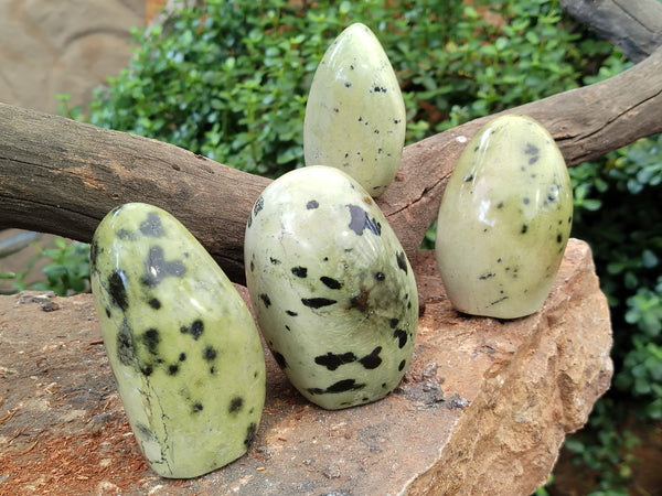 Polished Leopard Stone Standing Free Forms x 4 From Nyanga, Zimbabwe