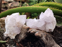 Natural Amethyst Spirit Quartz Clusters x 6 From Boekenhouthoek, South Africa