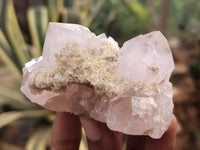 Natural Amethyst Spirit Quartz Clusters x 6 From Boekenhouthoek, South Africa