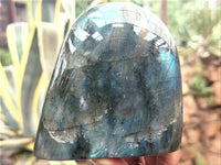 Polished Labradorite Standing Free Forms x 3 From Tulear, Madagascar