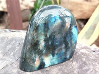 Polished Labradorite Standing Free Forms x 3 From Tulear, Madagascar