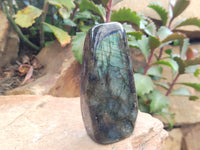 Polished Labradorite Standing Free Forms x 3 From Tulear, Madagascar