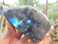 Polished Labradorite Standing Free Forms x 3 From Tulear, Madagascar