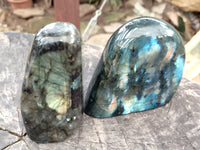 Polished Labradorite Standing Free Forms x 3 From Tulear, Madagascar