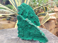 Natural Botryoidal Malachite Specimens x 1 From Tenke Fungurume, Congo