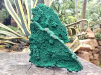 Natural Botryoidal Malachite Specimens x 1 From Tenke Fungurume, Congo