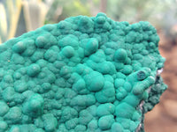 Natural Botryoidal Malachite Specimens x 1 From Tenke Fungurume, Congo