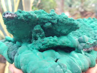 Natural Botryoidal Malachite Specimens x 1 From Tenke Fungurume, Congo