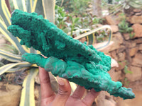 Natural Botryoidal Malachite Specimens x 1 From Tenke Fungurume, Congo