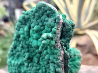 Natural Botryoidal Malachite Specimens x 1 From Tenke Fungurume, Congo