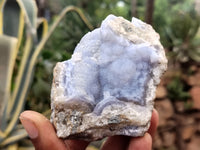 Natural Blue Lace Agate Geode Specimens x 6 From Malawi