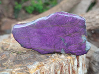 Polished On One Side Purpurite x 12 From Namibia