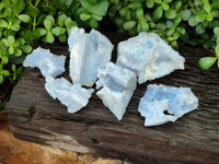 Natural Etched Blue Chalcedony Specimens x 6 From Nsanje, Malawi