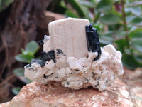 Natural Aegirine & Feldspar Specimens x 6 From Zomba, Malawi