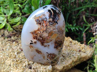 Polished Dendritic Agate Standing Free Forms x 2 From Madagascar