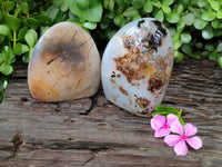 Polished Dendritic Agate Standing Free Forms x 2 From Madagascar