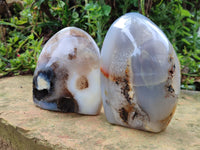 Polished Dendritic Agate Standing Free Forms x 2 From Madagascar