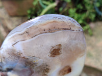 Polished Dendritic Agate Standing Free Forms x 2 From Madagascar