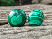 Hand Made Round Flower Banded Malachite Cabochons - Sold Per Item - From Congo