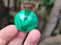 Hand Made Round Flower Banded Malachite Cabochons - Sold Per Item - From Congo