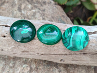 Hand Made Round Flower Banded Malachite Cabochons - Sold Per Item - From Congo