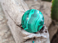 Hand Made Round Flower Banded Malachite Cabochons - Sold Per Item - From Congo