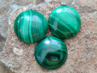 Hand Made Round Flower Banded Malachite Cabochons - Sold Per Item - From Congo