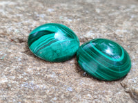 Hand Made Round Flower Banded Malachite Cabochons - Sold Per Item - From Congo