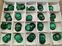 Hand Made Round Flower Banded Malachite Cabochons - Sold Per Item - From Congo